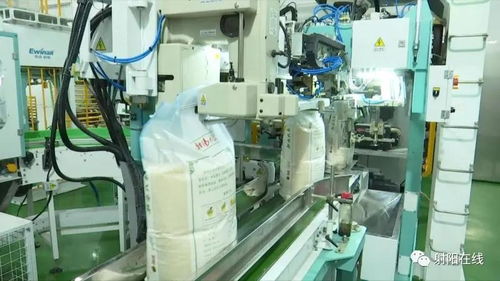 射陽大米首獲省政府農(nóng)業(yè)技術(shù)推廣獎(jiǎng)，技術(shù)創(chuàng)新引領(lǐng)產(chǎn)業(yè)升級(jí)